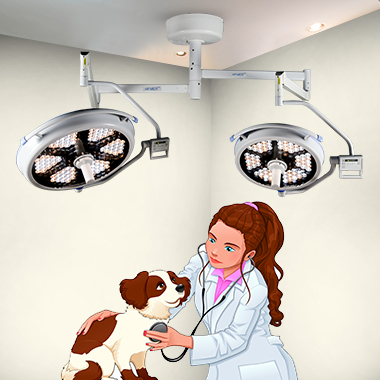 Pet Surgery Shadowless Light