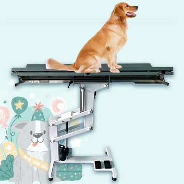 Veterinary Table