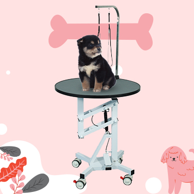 Pet Grooming Table