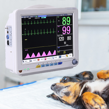 veterinary surgery supplies,multi-parameter veterinary monitors