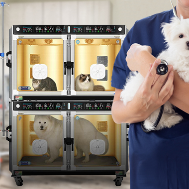 functional and powerful ICU pet incubator,humidification and dehumidification ICU pet incubator,