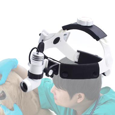 Veterinary Headlamps,Head Mounted Magnifier Headlamp,AC/DC Headlight,Clip/Insert Headlight