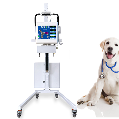 portable X-ray machines,higher power X-ray machines,intelligent veterinary X-ray machine,digital medical x-ray,high-quality imaging X-ray machine